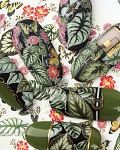 Купить Naildress Slider Design №111 Оранжерея в официальном магазине EMI с доставкой по России
